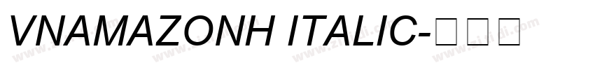 VNAmazonH Italic字体转换
